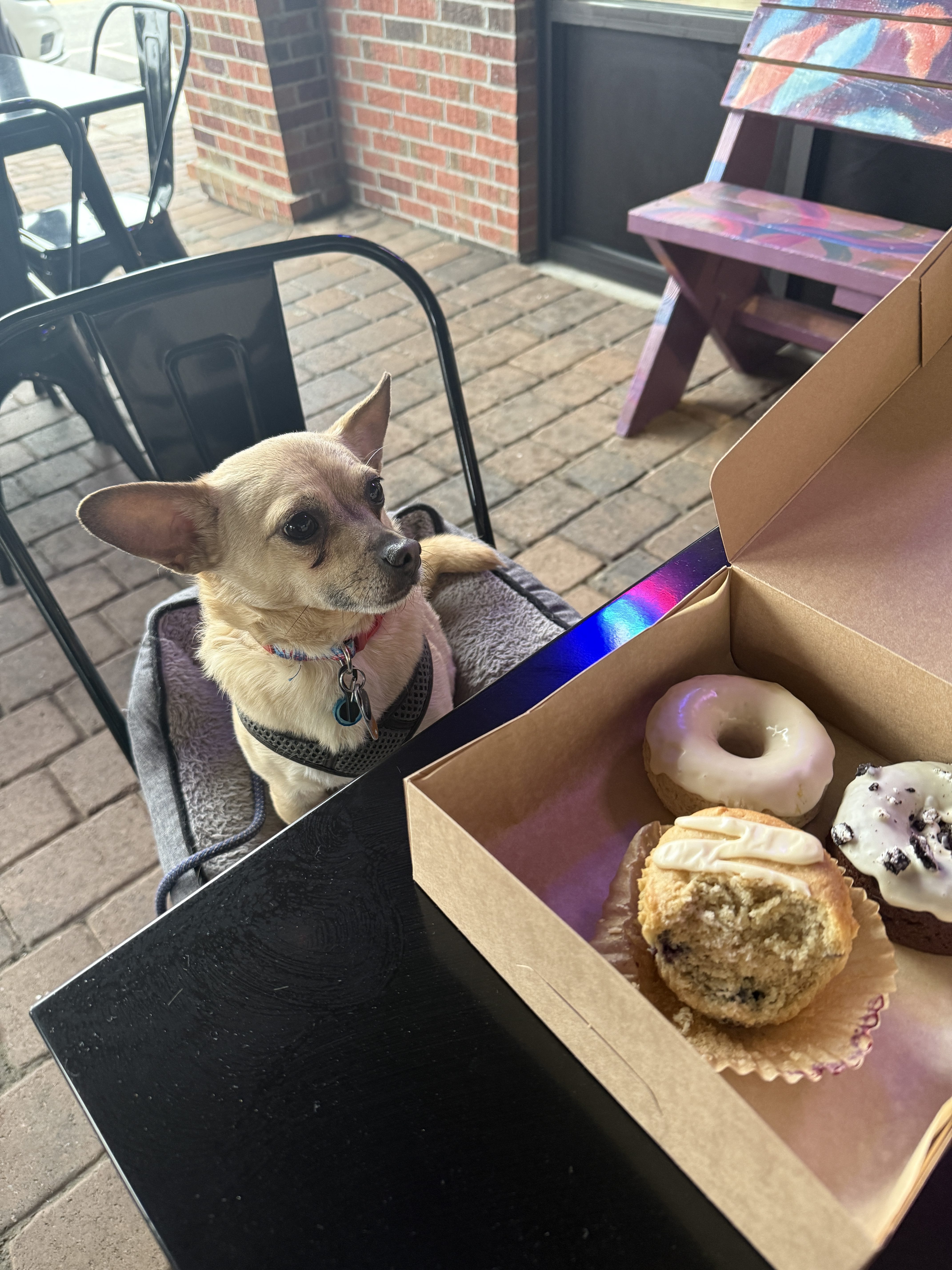 Added vs. Naturally Occurring Sugars Explained